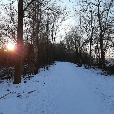 Vakantiehuis Aan Het Bos - Gelegen Aan De Tulpenroute Bant Екстер'єр фото